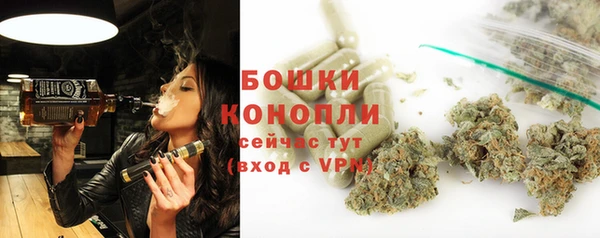 MESCALINE Аркадак