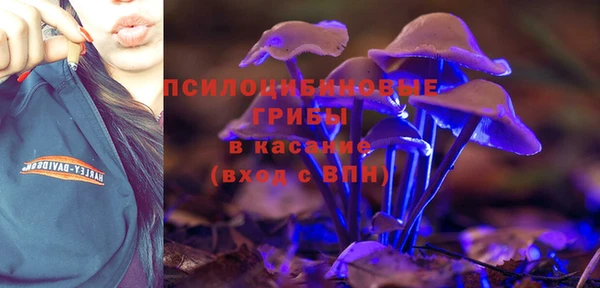 ALPHA-PVP Алексеевка